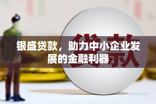 忠县银盛贷款，助力中小企业发展的金融利器
