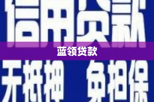 忠县蓝领贷款