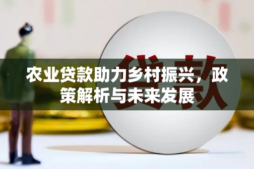 忠县农业贷款助力乡村振兴，政策解析与未来发展
