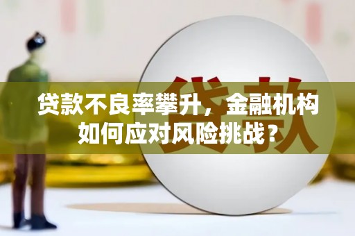 忠县贷款不良率攀升，金融机构如何应对风险挑战？