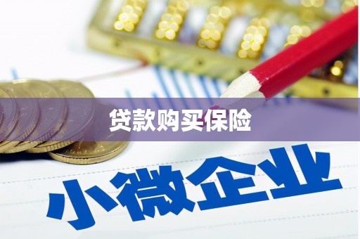 忠县贷款购买保险