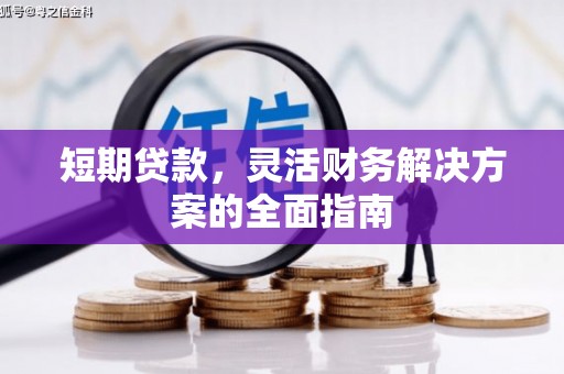 忠县短期贷款，灵活财务解决方案的全面指南