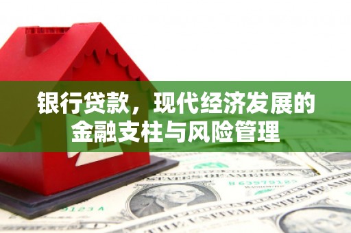 忠县银行贷款，现代经济发展的金融支柱与风险管理