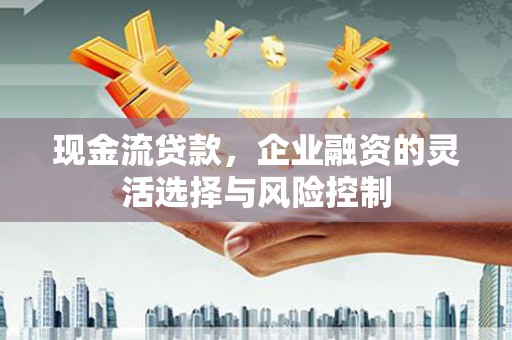 忠县现金流贷款，企业融资的灵活选择与风险控制