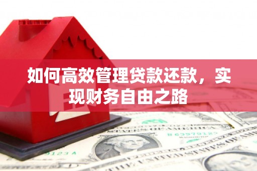 忠县如何高效管理贷款还款，实现财务自由之路