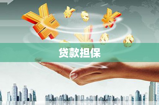 忠县贷款担保