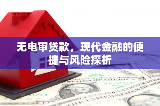 忠县无电审贷款，现代金融的便捷与风险探析