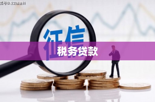 忠县税务贷款