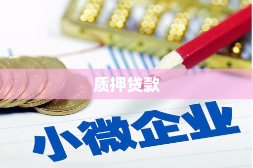 忠县质押贷款