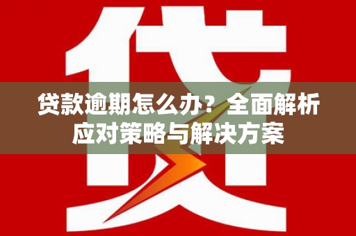 忠县贷款逾期怎么办？全面解析应对策略与解决方案