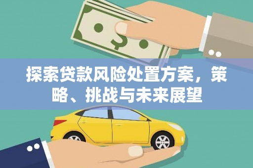 忠县探索贷款风险处置方案，策略、挑战与未来展望