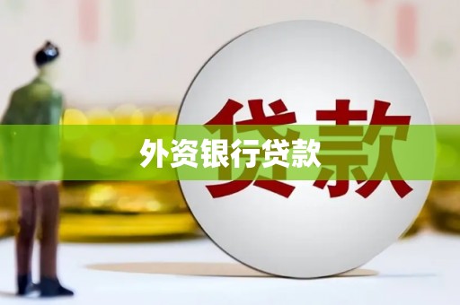 忠县外资银行贷款