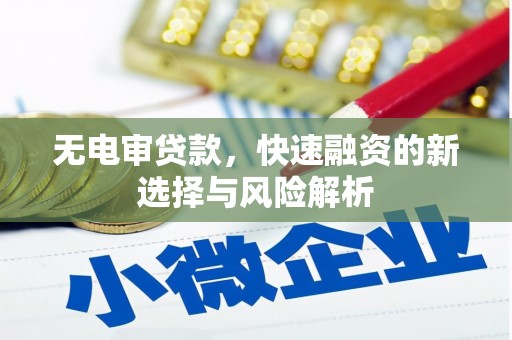 忠县无电审贷款，快速融资的新选择与风险解析