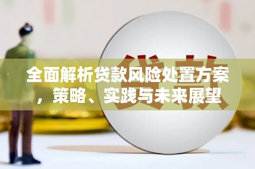 忠县全面解析贷款风险处置方案，策略、实践与未来展望