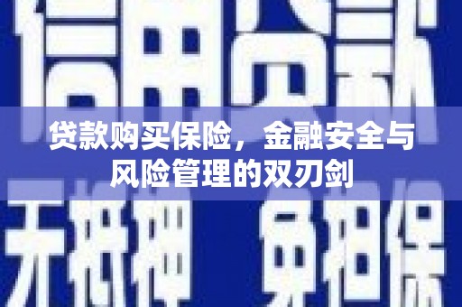 忠县贷款购买保险，金融安全与风险管理的双刃剑