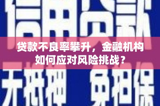 忠县贷款不良率攀升，金融机构如何应对风险挑战？