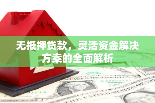 忠县无抵押贷款，灵活资金解决方案的全面解析