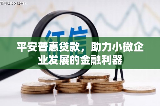 忠县平安普惠贷款，助力小微企业发展的金融利器