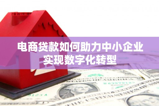 忠县电商贷款如何助力中小企业实现数字化转型