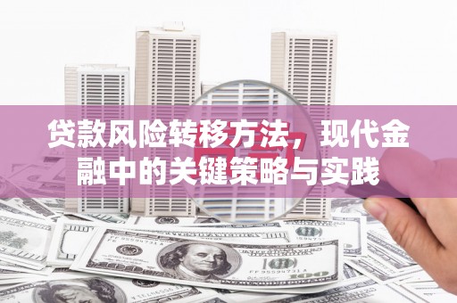 忠县贷款风险转移方法，现代金融中的关键策略与实践