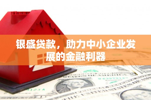 忠县银盛贷款，助力中小企业发展的金融利器
