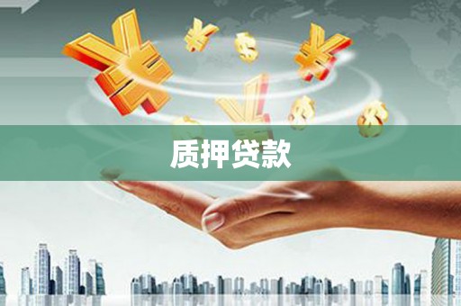 忠县质押贷款
