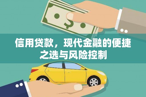 忠县信用贷款，现代金融的便捷之选与风险控制