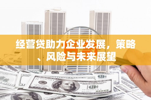 忠县经营贷助力企业发展，策略、风险与未来展望