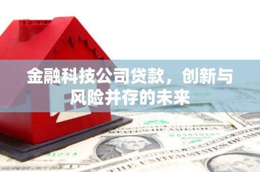 忠县金融科技公司贷款，创新与风险并存的未来