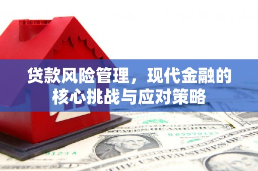忠县贷款风险管理，现代金融的核心挑战与应对策略
