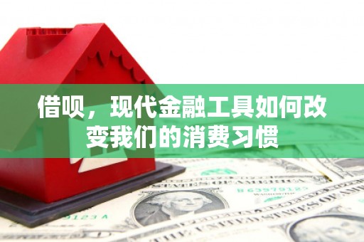忠县借呗，现代金融工具如何改变我们的消费习惯