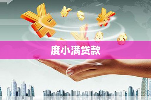 忠县度小满贷款