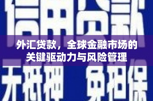 忠县外汇贷款，全球金融市场的关键驱动力与风险管理