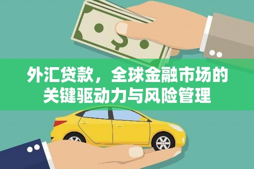 忠县外汇贷款，全球金融市场的关键驱动力与风险管理