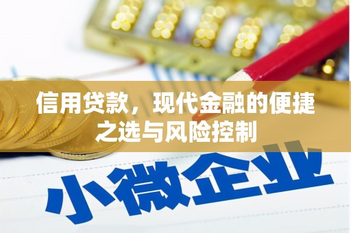 忠县信用贷款，现代金融的便捷之选与风险控制