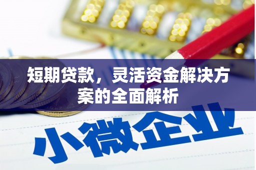 忠县短期贷款，灵活资金解决方案的全面解析