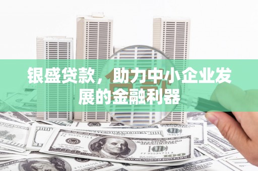 忠县银盛贷款，助力中小企业发展的金融利器