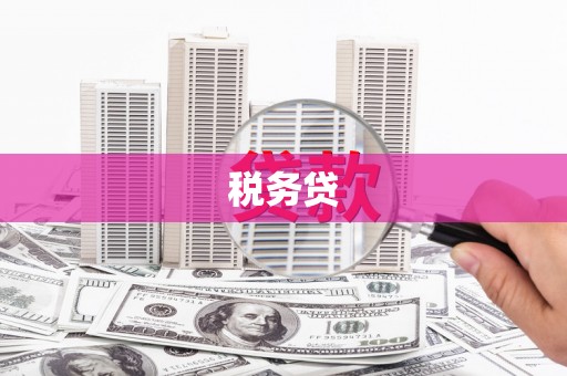 忠县税务贷