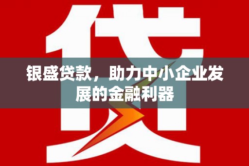 忠县银盛贷款，助力中小企业发展的金融利器