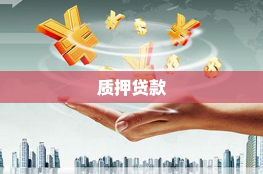 忠县质押贷款