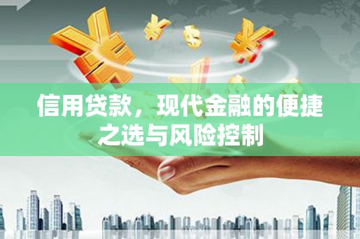 忠县信用贷款，现代金融的便捷之选与风险控制