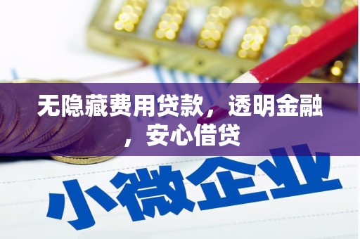 忠县无隐藏费用贷款，透明金融，安心借贷