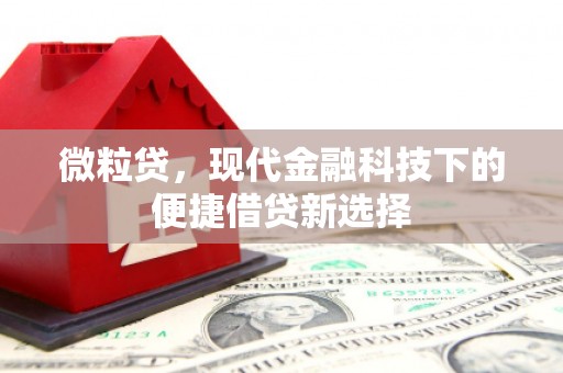 忠县微粒贷，现代金融科技下的便捷借贷新选择