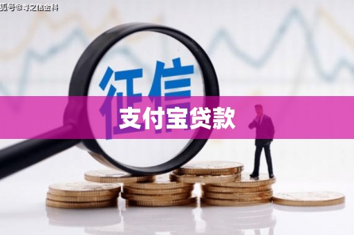 忠县支付宝贷款