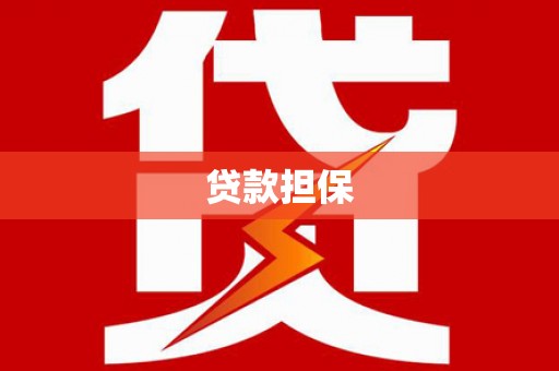 忠县贷款担保