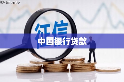 忠县中国银行贷款