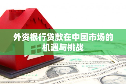 忠县外资银行贷款在中国市场的机遇与挑战