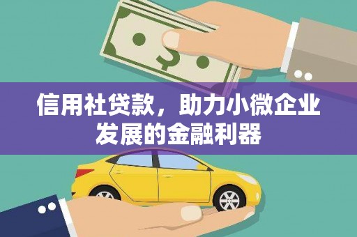 忠县信用社贷款，助力小微企业发展的金融利器