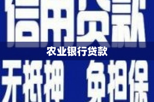 忠县农业银行贷款
