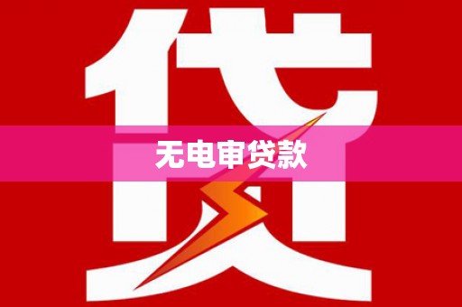 忠县无电审贷款